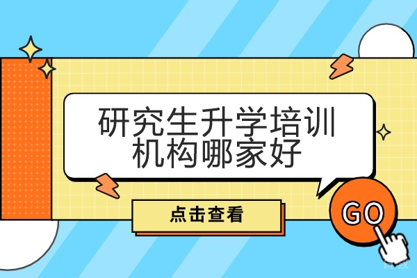 保研岛研究生升学指导服务深度解析 