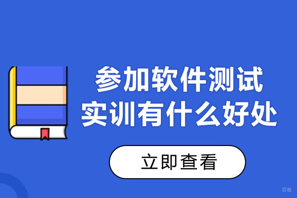 掌握软件测试技能必读：实训带来的职业突破 