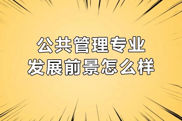 公共事业管理考研通关秘籍：启航教育全科辅导体系解析