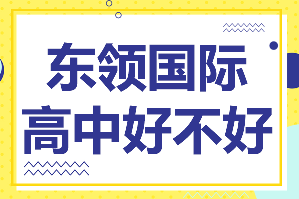 上海东领国际高中全方位解析：课程设置与升学优势揭秘