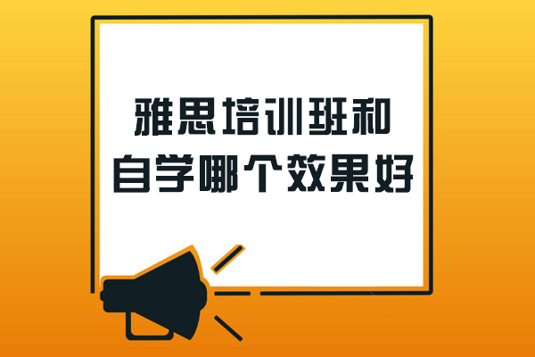 雅思备考选择指南：培训机构VS自学深度解析