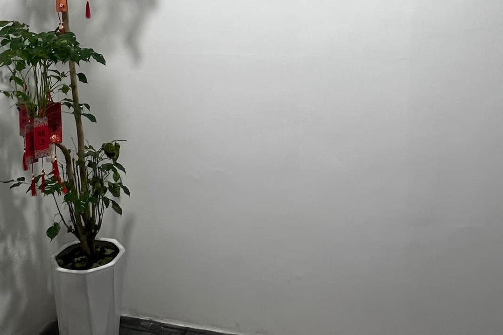 校区一角环境