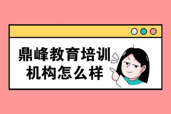 沈阳鼎峰教育专升本培训优势解析与学员真实评价