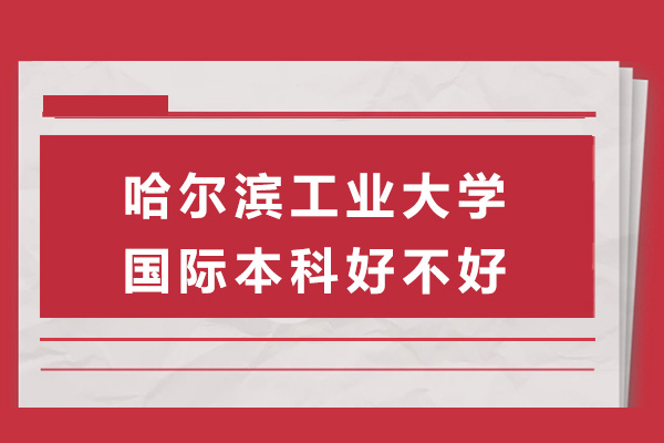 哈尔滨工业大学国际本科深度解析：培养国际化人才的核心路径