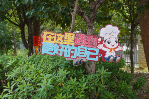 学校环境