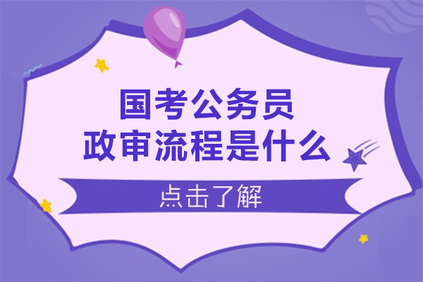 国家公务员政审全流程深度解析与应对策略 