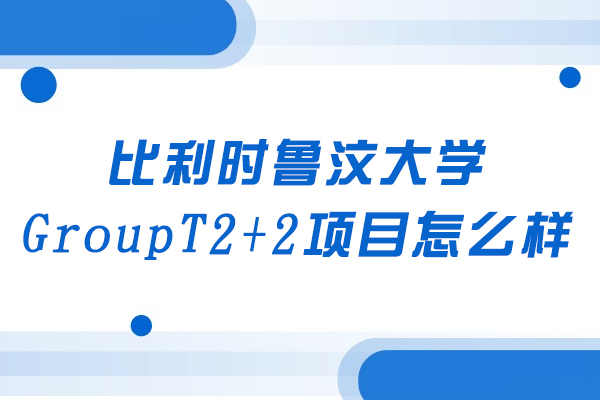 比利时鲁汶大学GroupT双学位项目深度解析：升学路径与核心优势