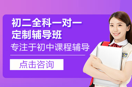广州初二全科突破指南：1对1定制学习方案深度解析