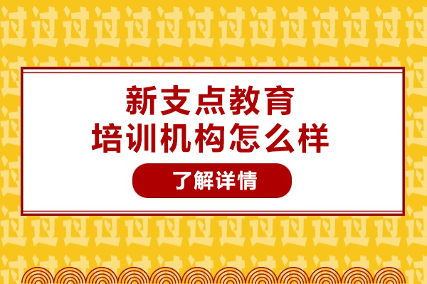 武汉新支点教育口碑如何？三大核心优势深度解析 