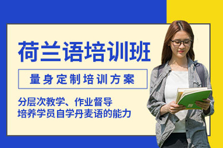 武汉荷兰语培训课程体系深度解析