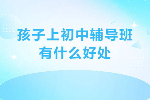 初中课外辅导核心价值深度解读 