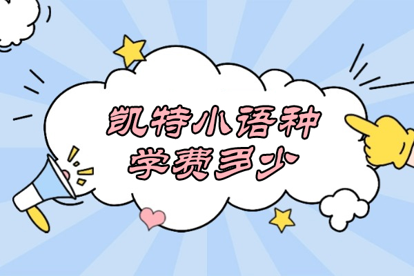 太原凯特语言课程收费标准解析 - 小语种学习性价比指南