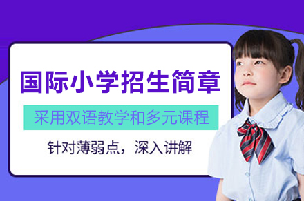 南通启外双语小学2024创新教育体系全解析