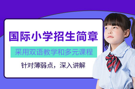 南通启外双语小学2024创新教育体系全解析