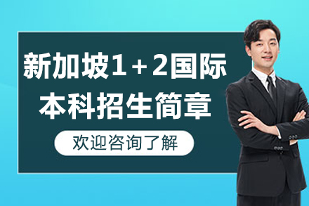 新加坡1+2国际本科深度解析：三年制跨国教育方案全指南