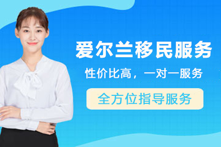 爱尔兰移民双路径解析：投资与捐赠方案深度对比