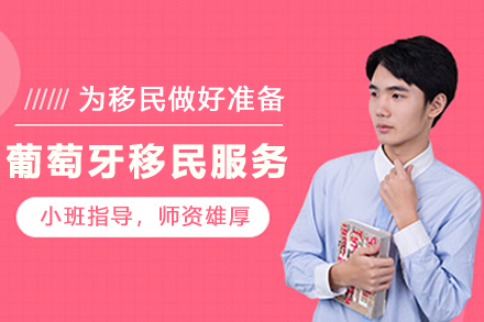 葡萄牙黄金签证深度解析：两种移民路径对比与政策全览