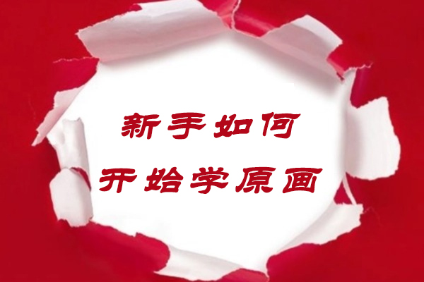 原画学习完全指南：从零基础到职业进阶的实践路径
