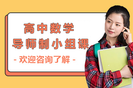 上海高中数学小组课教学体系深度解析
