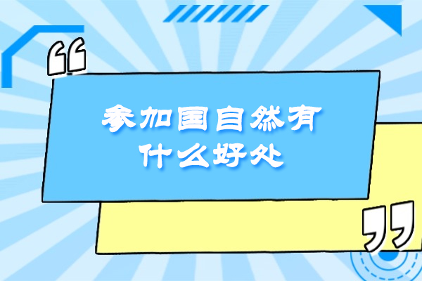 深度解析国家自然科学基金的六大战略价值 