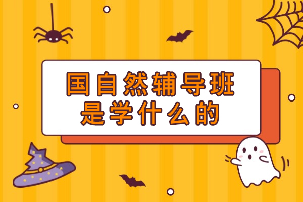 国自然项目申报核心技巧深度解析：科研人员必看的辅导指南 