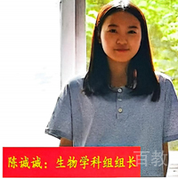 陈诚诚老师