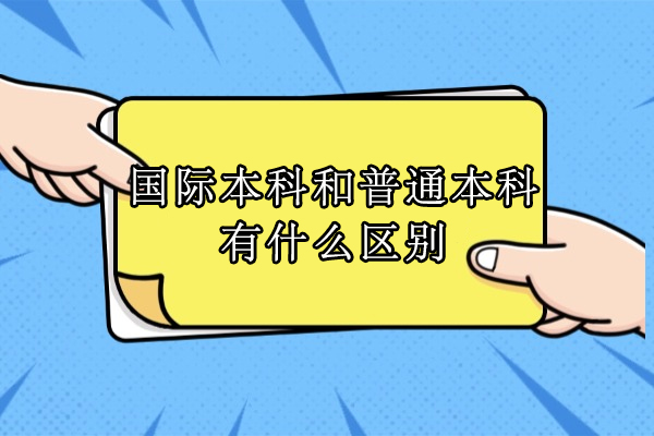 国际本科与普通本科教育模式深度对比：11个维度解析选择策略 