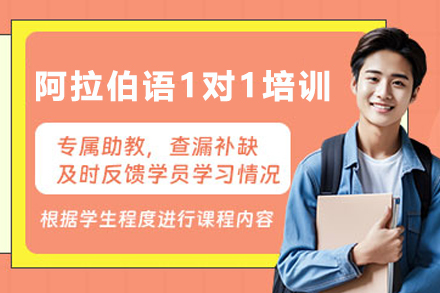 兰州阿拉伯语私教课深度解析：个性化语言培训方案