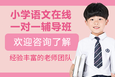 小学语文在线一对一辅导班