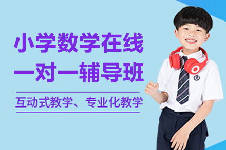 小学数学在线一对一辅导班