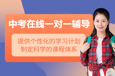 中考在线一对一辅导班