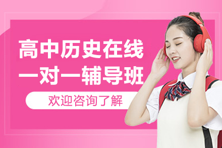 高中历史在线一对一辅导班