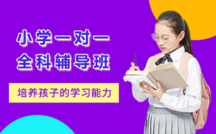 上海小学生个性化全科辅导解决方案