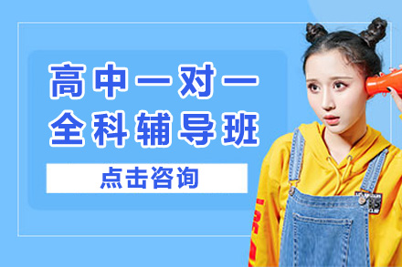 上海高中全科1对1定制辅导方案解析