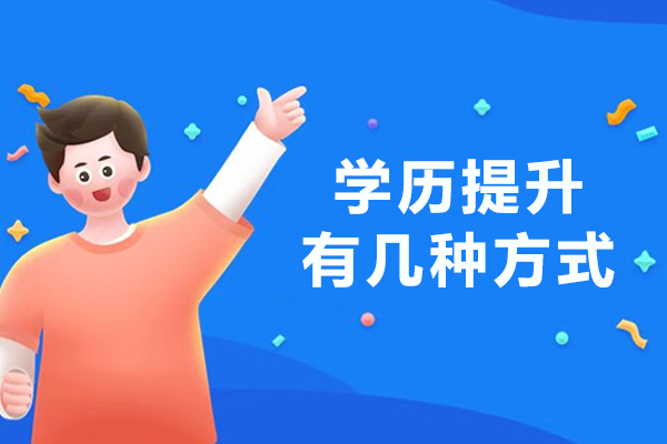 海淀区竞赛班培养体系深度解析 