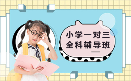 上海精品小班全科辅导特色解析