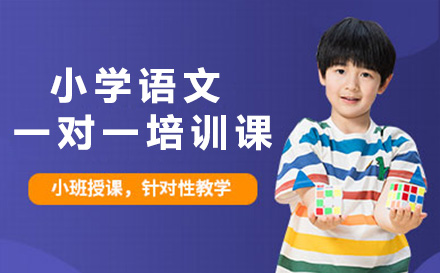 上海小学生语文定制课程全解析