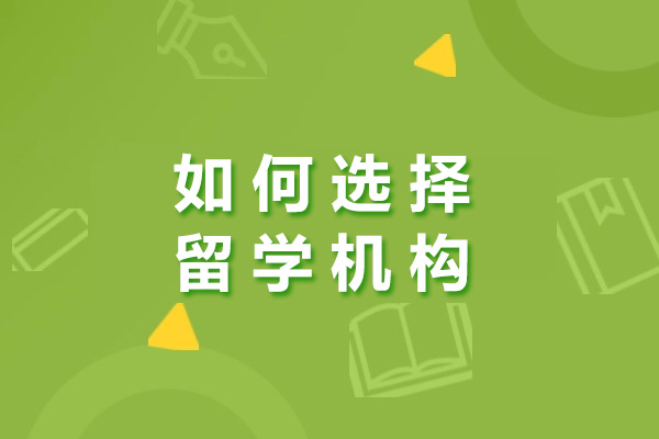 长沙留学机构挑选指南：五大维度解析优质服务选择 