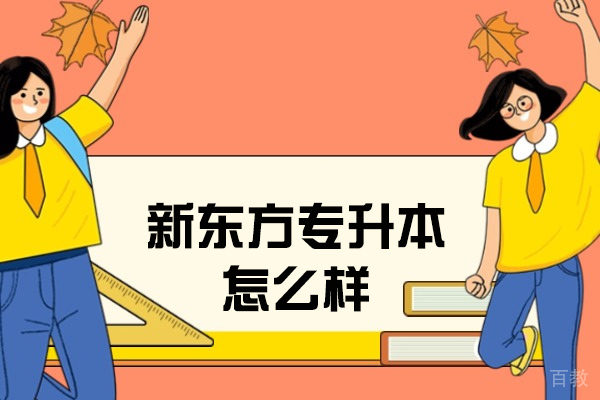 青岛新东方专升本课程优势深度解析