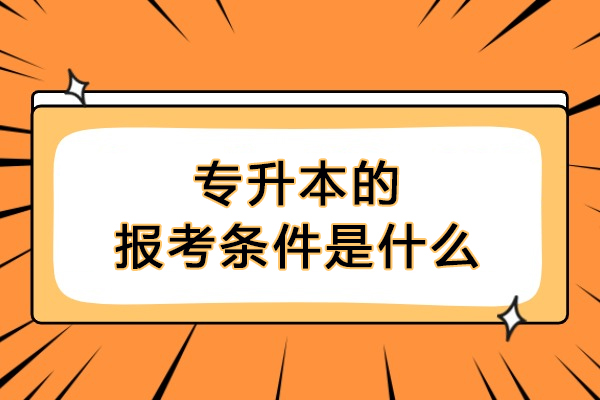 沈阳专升本报考全攻略：报名资格深度解读与备考策略 