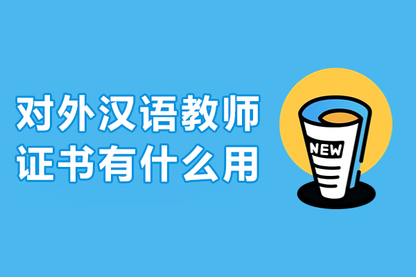 国际汉语教师资格认证的六大核心价值解析 