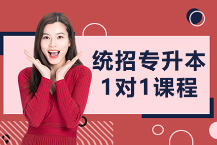 沈阳专升本定制化辅导方案深度解析