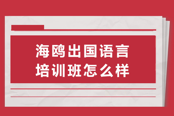 上海海鸥国际教育语言培训深度解析：雅思托福备考全攻略 