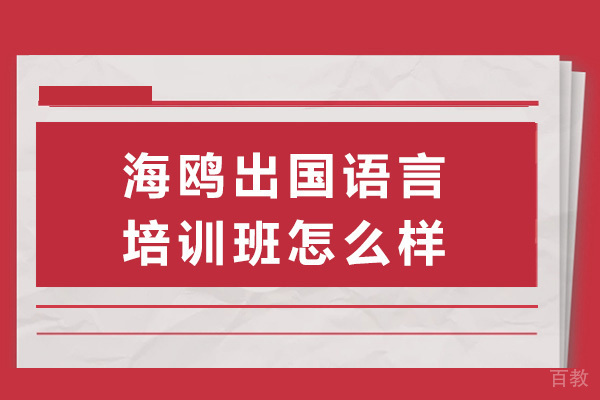 上海海鸥国际教育语言培训深度解析：雅思托福备考全攻略 