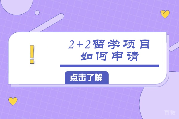 南昌大学2+2国际项目申请完全指南 - 从入门到录取全解析 