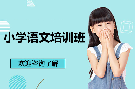 太原小学语文能力提升全攻略 - 锐思教育定制化教学方案
