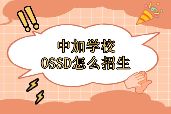 北京中加OSSD双轨制升学全解析|招生政策与课程特色深度解读 