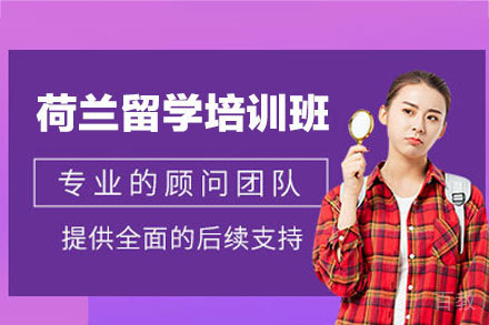 荷兰留学规划全攻略：申请流程与课程详解