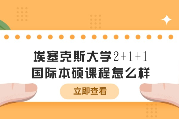 沈阳埃塞克斯大学国际本硕课程深度解析：培养全球视野的黄金路径 