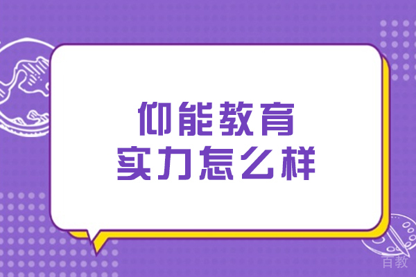 沈阳仰能教育深度评测：教学体系与师资实力全解析 